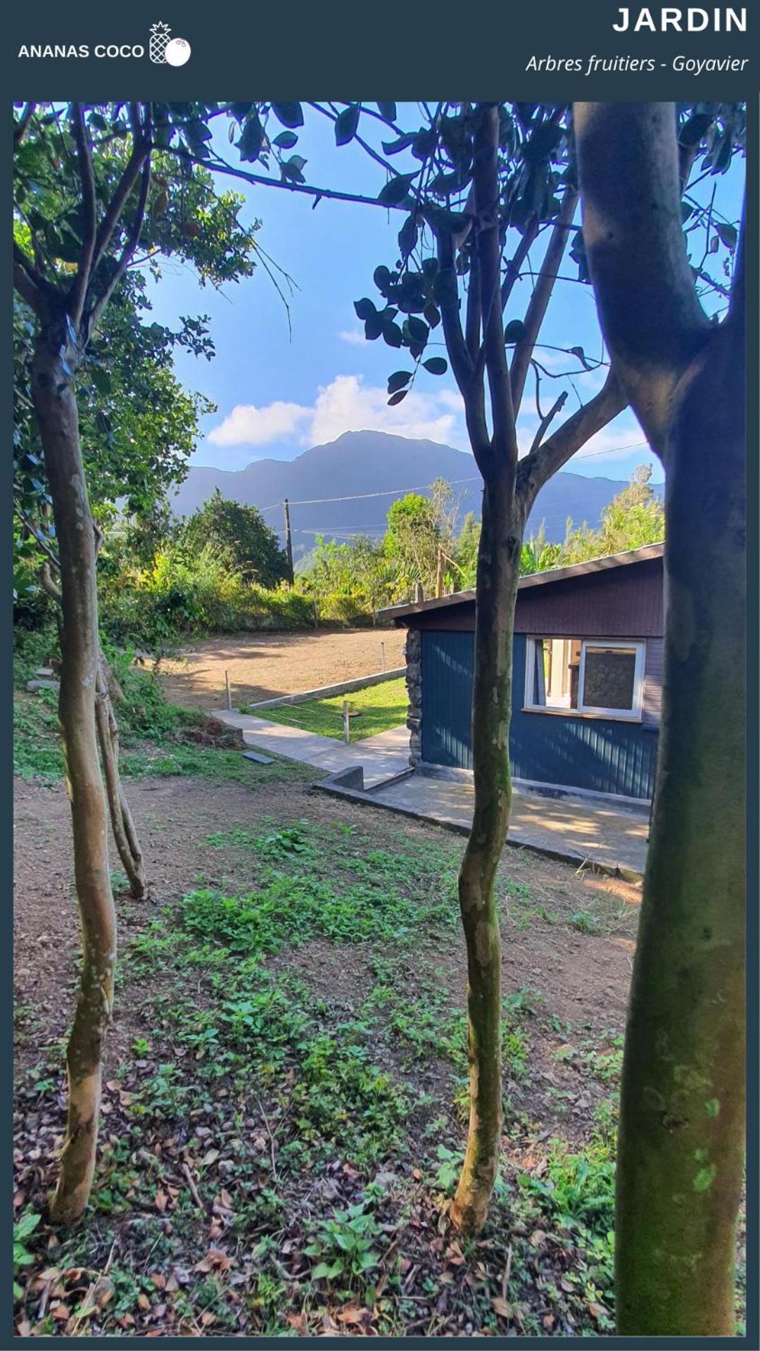 Ananas Coco Bed & Breakfast Salazie Bagian luar foto
